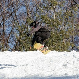 Marty Griggs Photo 20