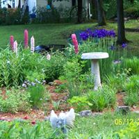 Darlene Matthews Photo 12