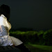 Robert Seto Photo 17