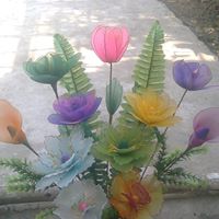 Tri Thai Photo 20
