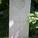 William Mears Photo 35