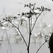 Amy Teich Photo 4