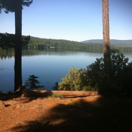 Kathy Heffner Photo 6