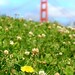 Tammy Bloom Photo 23