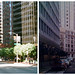 Stephen Street Photo 12