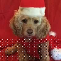Lacey Short Photo 2