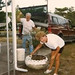 Brenda Cline Photo 27