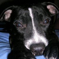 Debra Prescott Photo 15