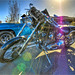 Kathy Davidson Photo 27