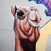 Tim Slone Photo 5
