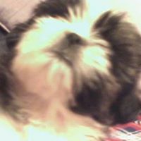 Larry Barron Photo 10