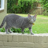David Byers Photo 34