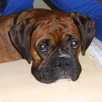 Sandra Dave Photo 24