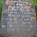 Ann Holton Photo 14