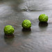 Richard Burrows Photo 35