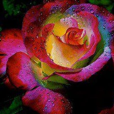 Julie Reagan Photo 15