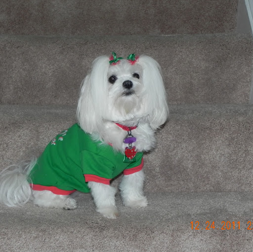 Donna Vaughn Photo 22