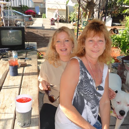 Susan Noel Photo 24