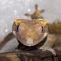 Audrey Burns Photo 23