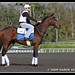 Marcie Walters Photo 15