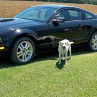 Darlene Grimes Photo 8