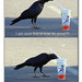 Donald Crow Photo 16