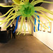 Jason Schulz Photo 13