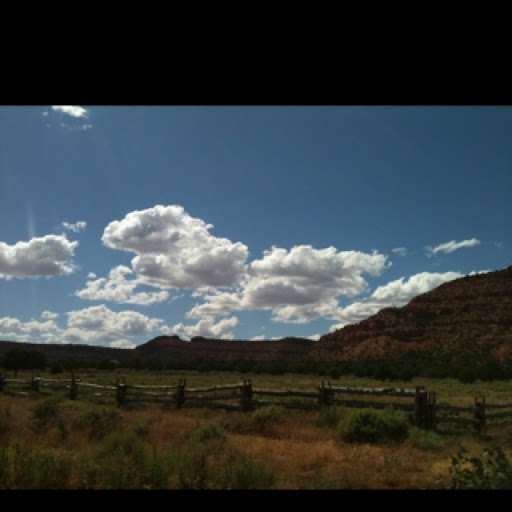 Terri Brown Photo 48
