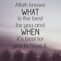 Mohammed Azizuddin Photo 5