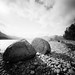 Randall Stone Photo 16