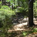 Robyn Downing Photo 8