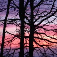 Terri Summers Photo 7