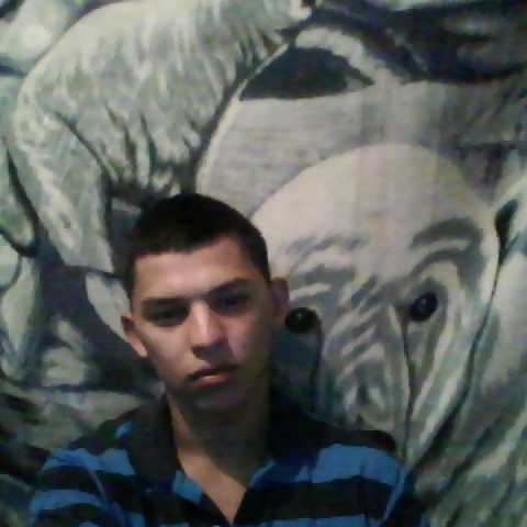 Francisco Mercado Photo 43