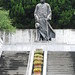 Shih Ma Photo 8