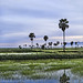Dawn Rice Photo 20