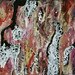 Donna Gouge Photo 7