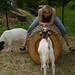 Elizabeth Farrington Photo 18