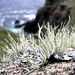 Carol Moss Photo 31