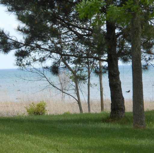 Mary Sparks Photo 8