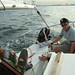 Kevin Helm Photo 17