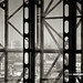Warren Lloyd Photo 19