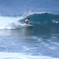 Stephen Parr Photo 17