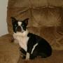 Laurie Burns Photo 20
