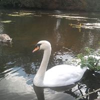 Becky Robins Photo 20