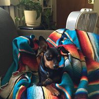 Mary Pelfrey Photo 7