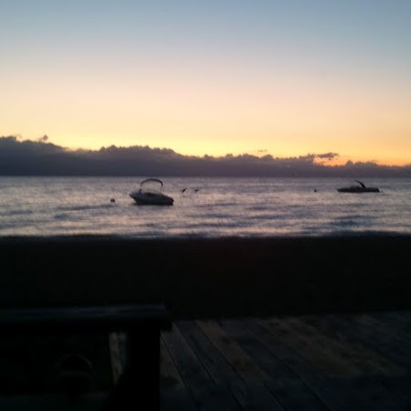 April Houser Photo 5