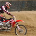 Richard Bull Photo 37