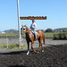 Jose Vera Photo 13