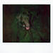 Neal Tanner Photo 15