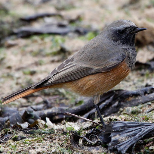 Barry Hunt Photo 22